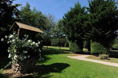 mariée avec buffet dans le parc