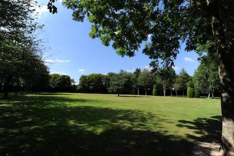 parc vue herbe